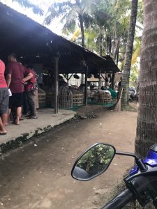 Di Gang Bunga Pasar 4 Marelan Ada Lapak Judi Sabung Ayam /// Bandarnya Wandi, Buka Sabtu & Minggu